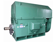 白河Y系列6KV高压电机
